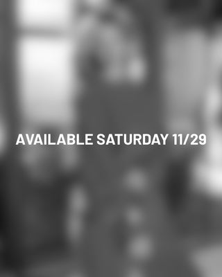DAY 2   Available Saturday 11/29
