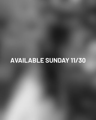 DAY 3   Available Sunday 11/30
