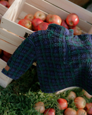 Limited Edition: Baby Plaid Fleece Pullover (18 24 months)
