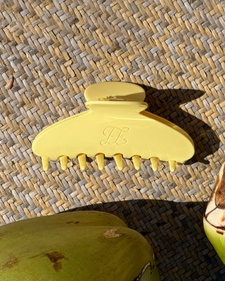 Claw Clip
